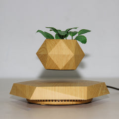 Golden Ring Marble Vase